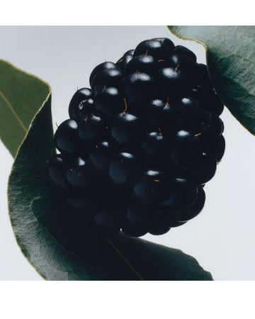 Blackberry & Bay Cologne 100ml/3.4floz