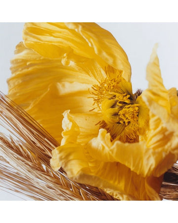 Poppy & Barley by Jo Malone Eau de Cologne Spray 30ml