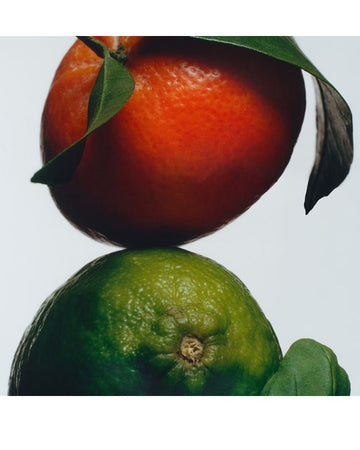 Lime + Basil+ Manderine Diffuser