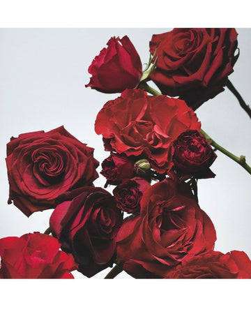 Red Roses Cologne 30ml