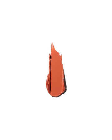 MAC POWDER KISS VELVET BLUR SLIM STICK - SORRY NOT SORRY