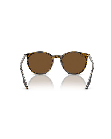 Ray-Ban RB2204 139357-54 Havana On Transparent / Brown Polarised Lenses