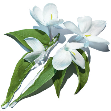 YSL Pure Shots Clean Reboot Mousse 125Ml