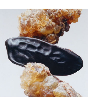 Jo Malone MYRRH & TONKA Body & Hand Wash with Gift Box - 250ml/8.4oz