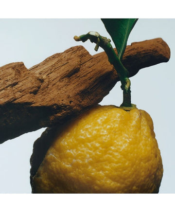 Oud & Bergamot Body & Hand Wash