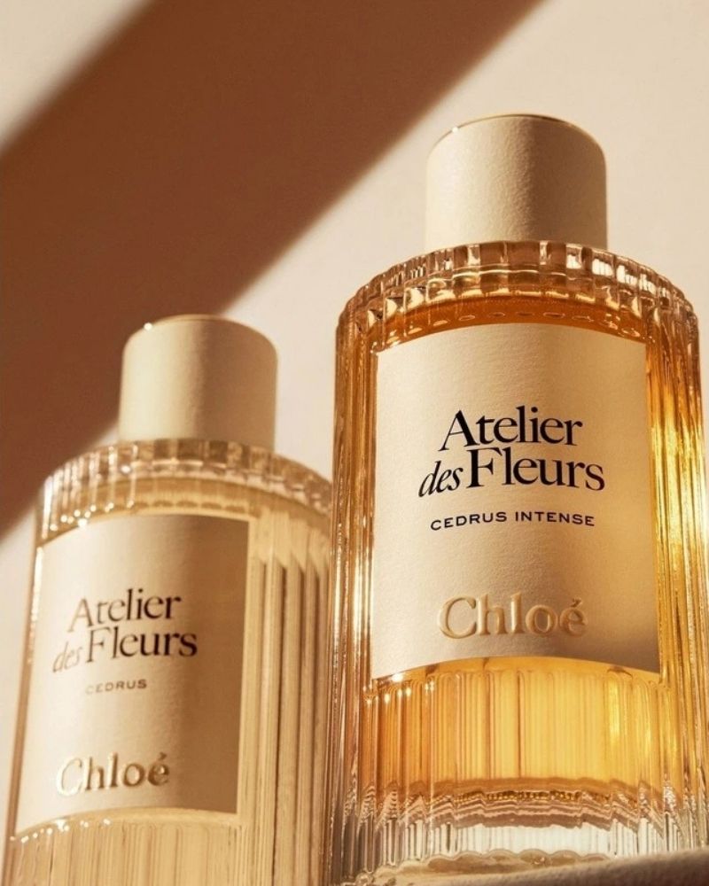 Chloe Atelier Des Fleurs - EDP - 50ml - Cedrus Intense