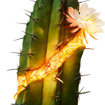 YSL Pure Shots Stability Reboot Bi-Essence 150Ml