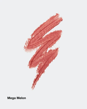 Chubby Stick Moist Lip Color Ba Mega Melon 3g