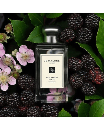 Blackberry &amp; Bay Cologne 30ml