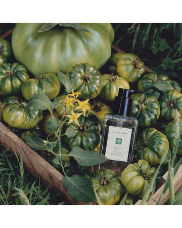 Tomato Leaf Hand Wash 250ml