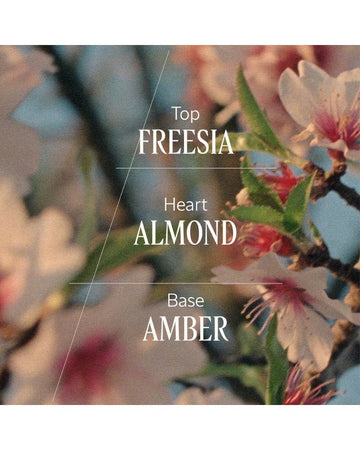 Almond Body &amp; Hair Mist 100ml