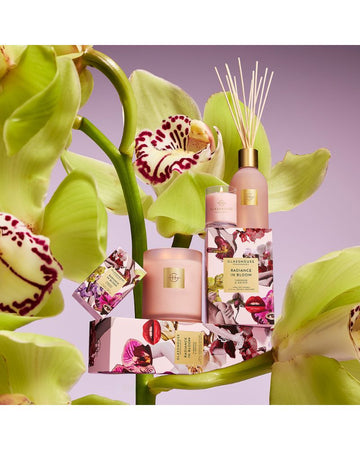 Gf 60g Candle - Mother's Day - Radiance In Bloom - 26